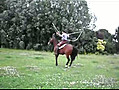 Un cheval saute à la corde