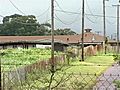 Police Hunt For Prison Escapees