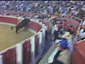 Bull jumps into crowd