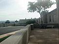 Forest lawn