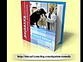 Dog Constipation Remedy   Veterinary Approved