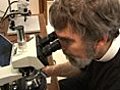 Star-gazing brings Vatican astronomers &#039;closer to God&#039;