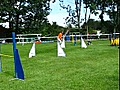 Agility dog, meeting Bischofszell Août 2008