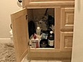 Organize Everything Underneath Your Bathroom Sink