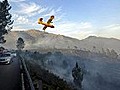 Großbrände in Portugal außer Kontrolle