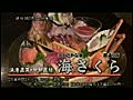 すすきの海鮮居酒屋 南３西４カミヤビル地下１階　「北のさかな家　海さくら　都通店」　３０秒ＣＭ