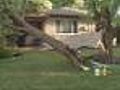Southeast Denver Gets Hit With Wild Winds