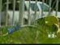 Turn On Sprinklers At Own Peril In Parts Of Area