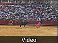 *BEWARE*  Bull Fighting Clip... - Seville, Spain