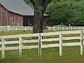 Royalty Free Stock Video HD Footage Zoom Out to Rural Scene,  Pasture, Horses and Barn on a Farm in North Carolina