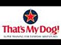 Dog Trainer School - Get a New Career in Dogs & Ow...