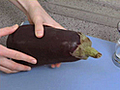 How to Broil an Eggplant