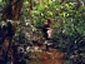 Hypsi: the Forest Gardener (1998) - Clip 3: Return to El Salvador