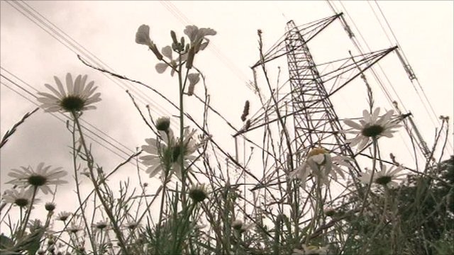 National Grid reveals route plan for new Suffolk pylons