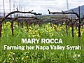 Rocca: Napa Syrah