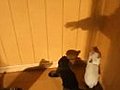 Kittens Attacking a Shadow Hand