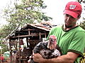 Animals: Turkey Day: El Salvador Diary