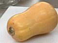 Butternut Squash