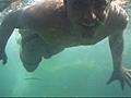 deniz ayusu - ayılama atlama tekniği