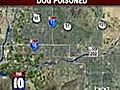 Dog Poisoned to Death in Ahwatukee