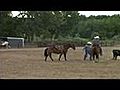 Lady - Full Rope Dismount - Heeling Horse and Calf Horse Prospect