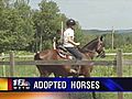 Adopting Horses