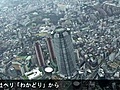 地上４５メートル　メダカの楽園