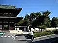 「御室　仁和寺」辺りです・・・・・・