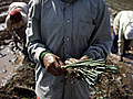 Indian Farmers Left Behind