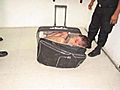 Prison Guards Foil Suitcase Escape Bid