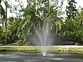 Stock Footage - Sarasota Jungle Gardens - Fountain (2007)