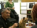 Dog Whisperer - Instinctual Communication