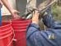 Researchers Try To Help Trout In Poudre River