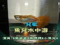 魚兒水中游卡拉OK