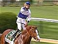 Shackleford holds off Animal Kingdom