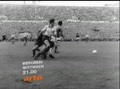 Pelé, Garrincha, dieux du Brésil