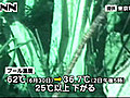 ３号機燃料プール、３６．７℃まで水温低下