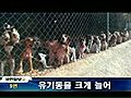 [뉴씽] 유기동물 크게 늘어