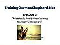 Mistakes To Avoid When Training Your German Shepherd