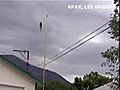 Eagle Drops Dead Deer On Power Line