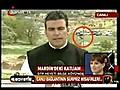 NTV’de haber fonu: Çiftleşen atlar