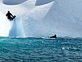 Whale Wars: Iceberg Waterslide