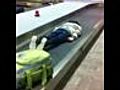 Baggage Claim Planking
