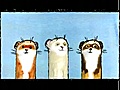 Ferret dance (A series of tubes)