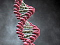 Creating Synthetic Life: Manmade DNA