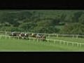 Horse Racing in Ireland