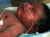 Big 16-pound baby born in Texas
