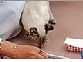 Cat Care - Giving Solid Medication