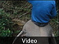 06 On the Elephant - Video Clip - Chiang Dao, Thailand