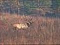 Nickel Family Nature and Wildlife Preserve